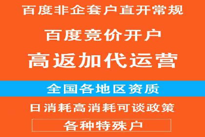 百度SEO推广：从零到一的成长案例